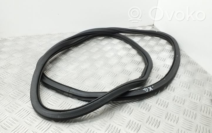 Volkswagen Jetta VI Rear door rubber seal (on body) 5C6867913