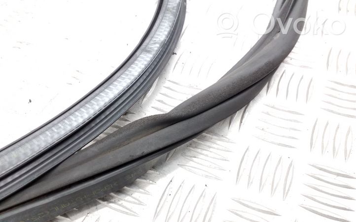 Skoda Rapid (NH) Front door rubber seal 5JA867366D