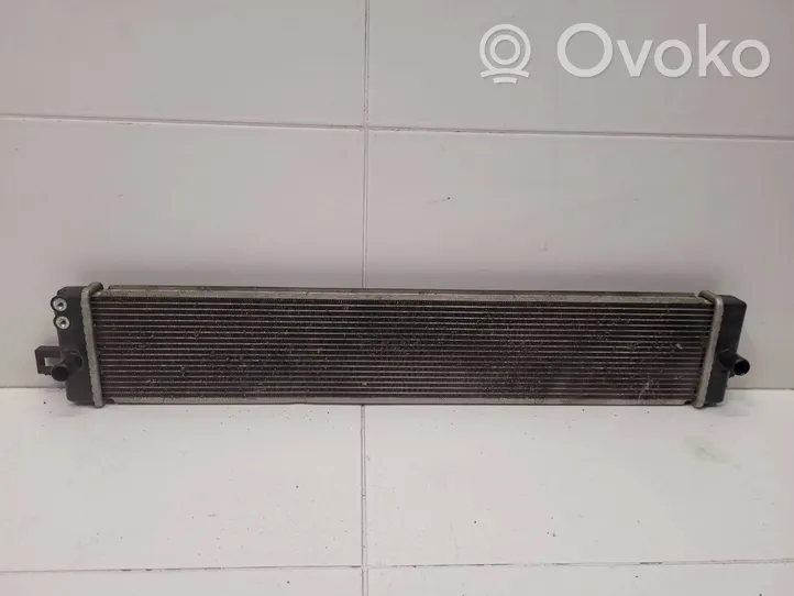 Toyota RAV 4 (XA50) Aušinimo skysčio radiatorius 