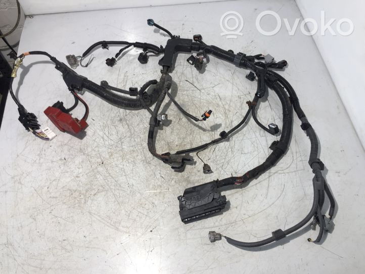 Toyota Yaris Faisceau de câblage pour moteur 8281552410