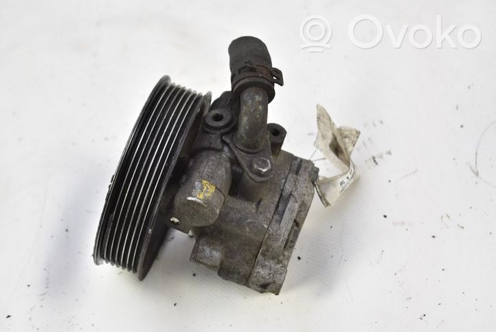 Volkswagen Phaeton Power steering pump 3D0422154ES