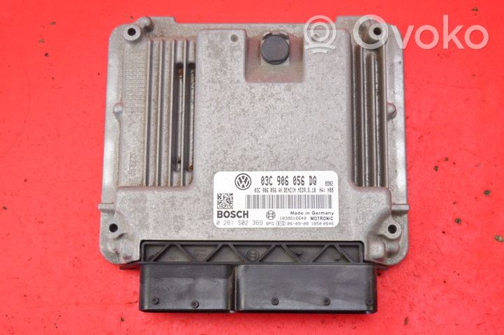 Volkswagen Golf V Komputer / Sterownik ECU silnika 03C906056DQ