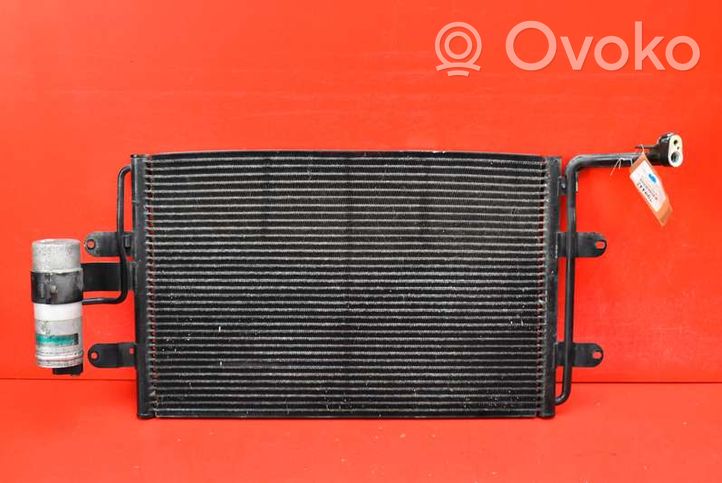 Volkswagen Bora Air conditioning (A/C) radiator (interior) 1J0820411D