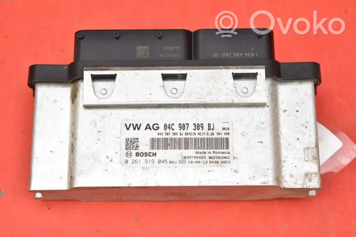 Skoda Fabia Mk3 (NJ) Unité de commande, module ECU de moteur 04C907309BJ