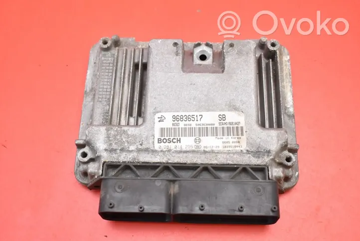 Chevrolet Captiva Unité de commande, module ECU de moteur 96836517