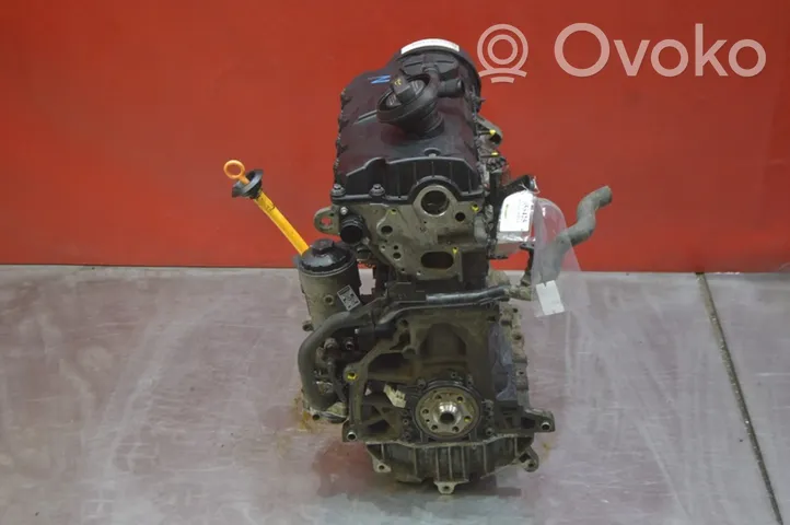 Skoda Octavia Mk2 (1Z) Motore BXE
