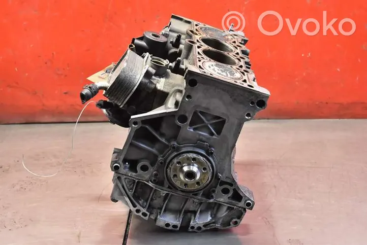 Audi A4 S4 B7 8E 8H Blocco motore ALT