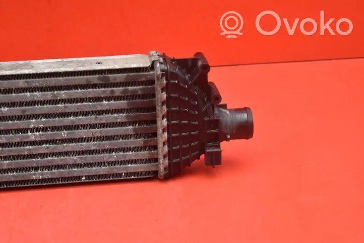 Ford Fusion Starpdzesētāja radiators 5S6H-9L440-AD