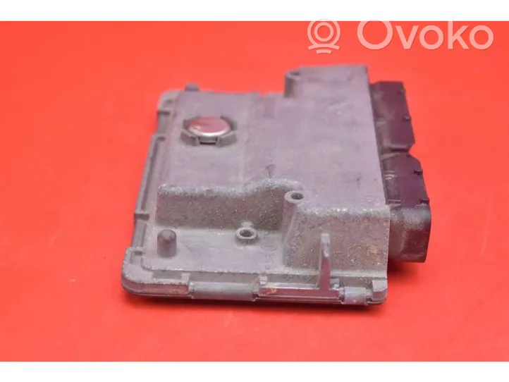 AC 428 Komputer / Sterownik ECU silnika 03E906019M