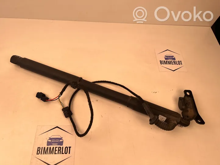 BMW X5 E70 Ammortizzatore portellone posteriore/bagagliaio 