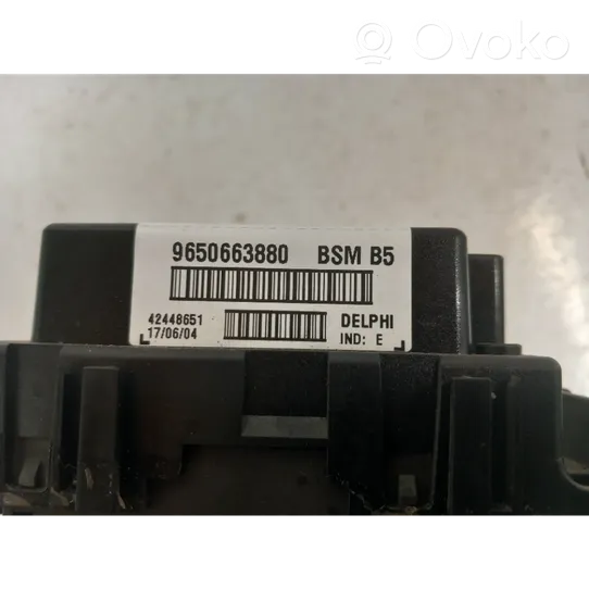 Peugeot 307 Module de fusibles 9650663880