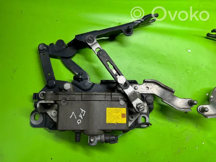 BMW 5 F10 F11 Cerniere del vano motore/cofano 7191328