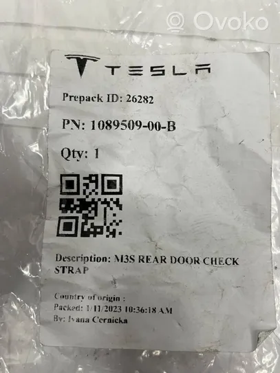 Tesla Model 3 Schließbügel Schließplatte FanghakenTür vorne 1089509-00-B