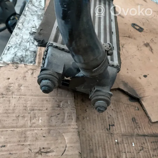 Fiat 500 Chłodnica powietrza doładowującego / Intercooler 51855481