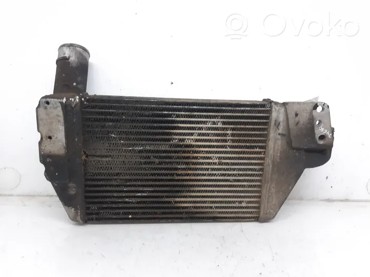 Tata Safari Starpdzesētāja radiators 253414609905