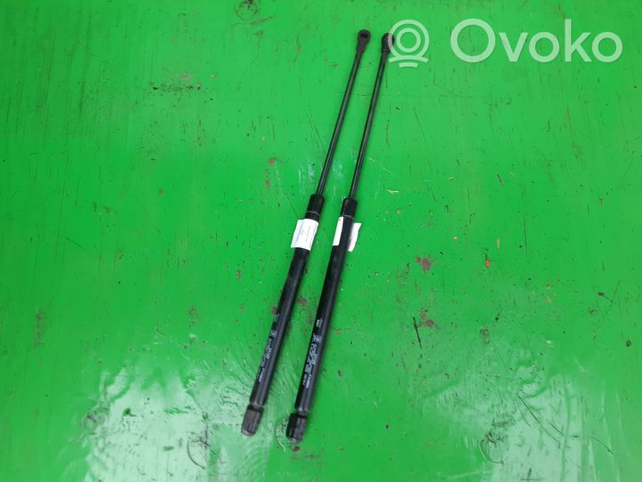 Volkswagen Polo Tailgate hydraulic set 23165