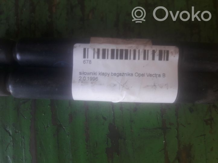 Opel Vectra B Tavaratilan luukun hydrauliikkasarja 