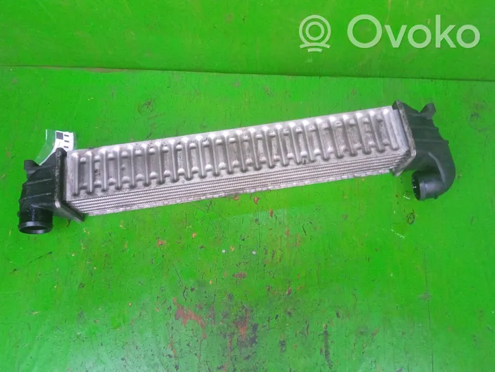 Volkswagen Sharan Radiatore intercooler 