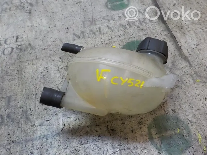 Dacia Lodgy Vaso di espansione carburante 217104354R