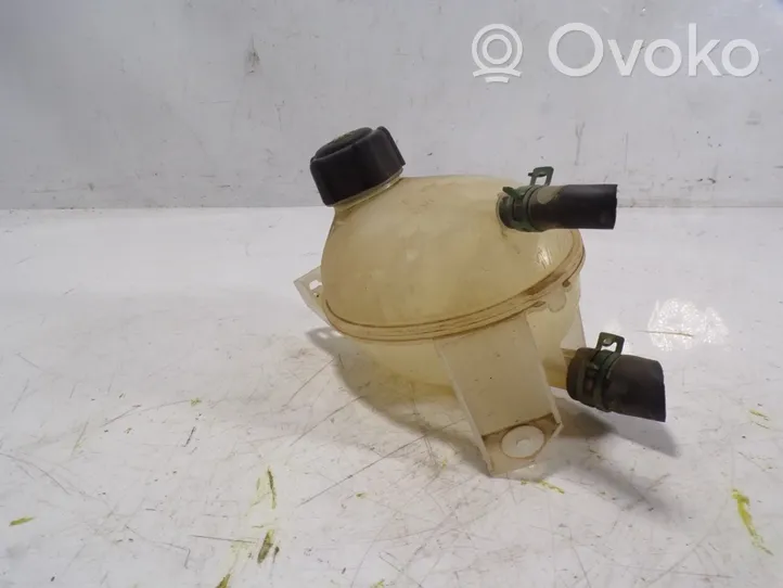 Dacia Sandero Fuel expansion tank 217104354R