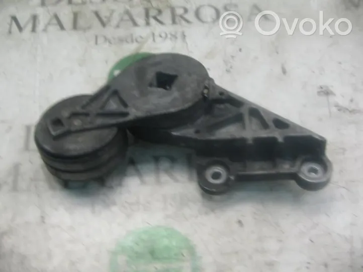 Volvo 850 Tendicinghia generatore/alternatore 