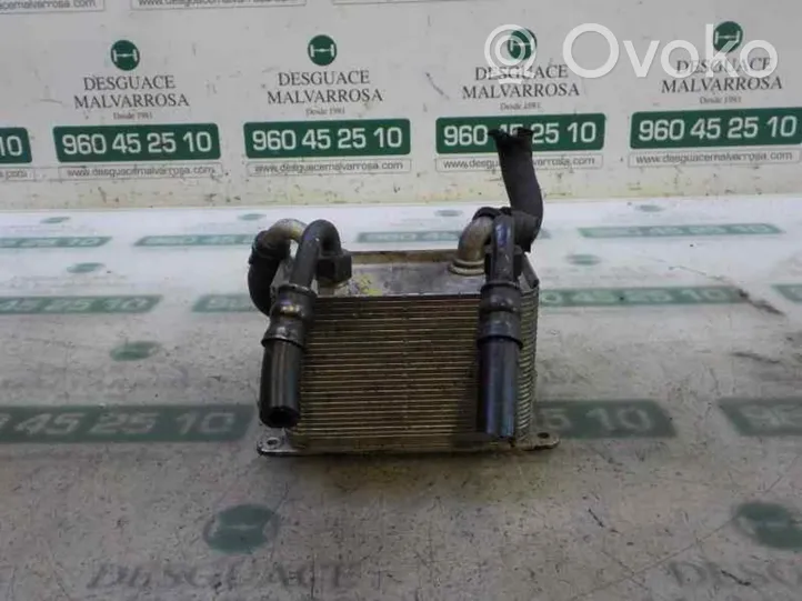 Volkswagen Phaeton Engine oil radiator 3D0409061G