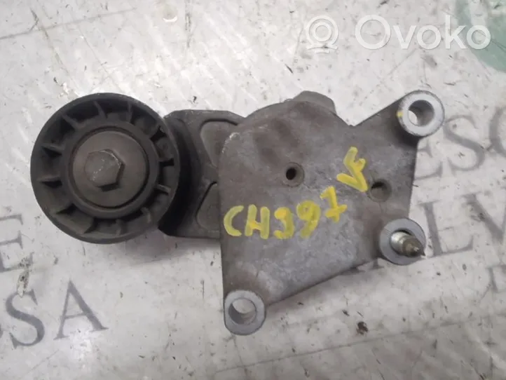 Citroen C3 Pluriel Tendicinghia generatore/alternatore 