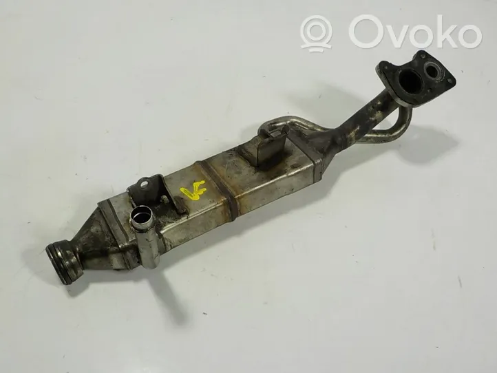 Mercedes-Benz CLS AMG C219 EGR-venttiili/lauhdutin A6421400175