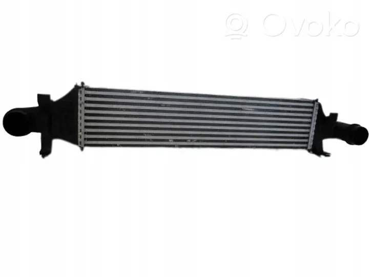 Mercedes-Benz CLA C117 X117 W117 Starpdzesētāja radiators A2465000100