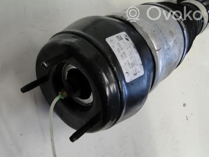 Mercedes-Benz GLE (W166 - C292) Ammortizzatore anteriore con sospensione pneumatica A1663204166