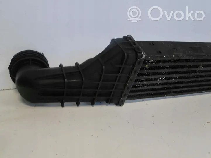 Mercedes-Benz E W210 Radiatore intercooler A2105001900