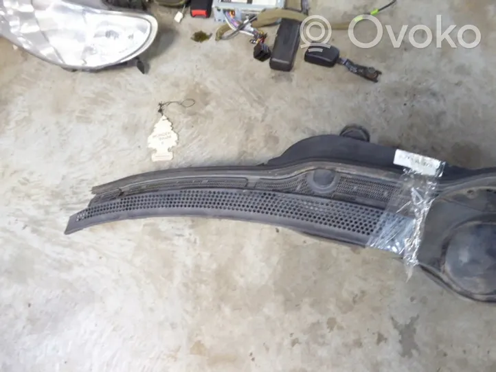 Mercedes-Benz C W202 Rivestimento del tergicristallo 2028300044