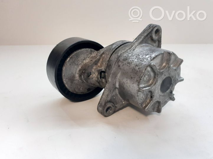 Mercedes-Benz E W211 Tendicinghia generatore/alternatore 950151