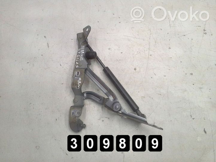 Chrysler Sebring (JS) Cerniere del vano motore/cofano 