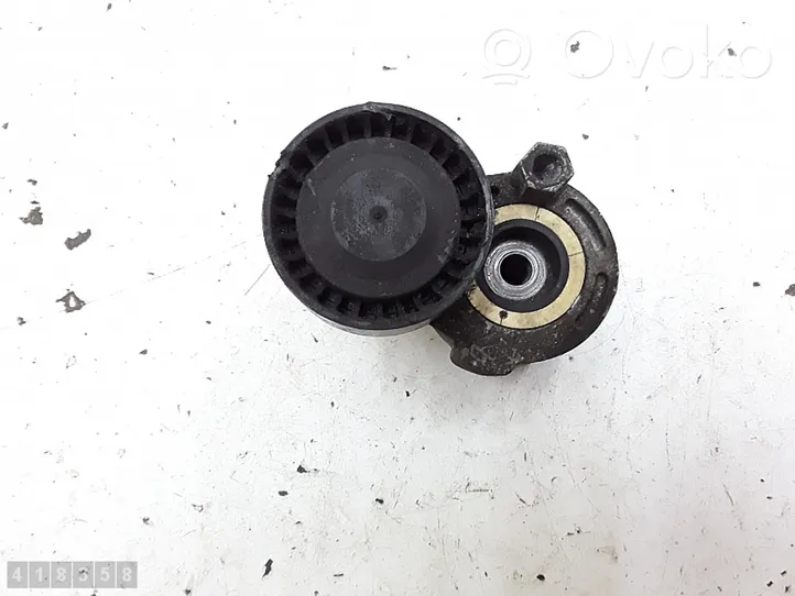 Renault Scenic RX Generator/alternator belt tensioner 