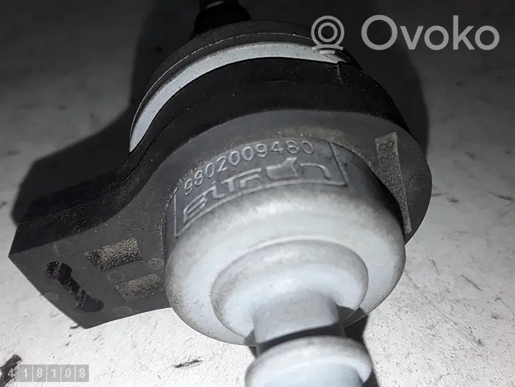 Citroen C3 Aircross Valvola di depressione 9802009480