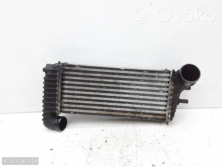 Ford Transit -  Tourneo Connect Radiatore intercooler 