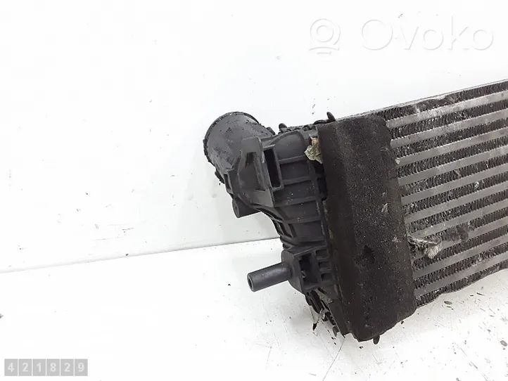 Ford Transit -  Tourneo Connect Radiatore intercooler 