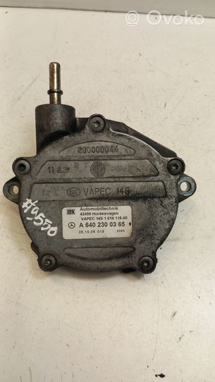 Mercedes-Benz A W169 Pompe à vide A6402300365