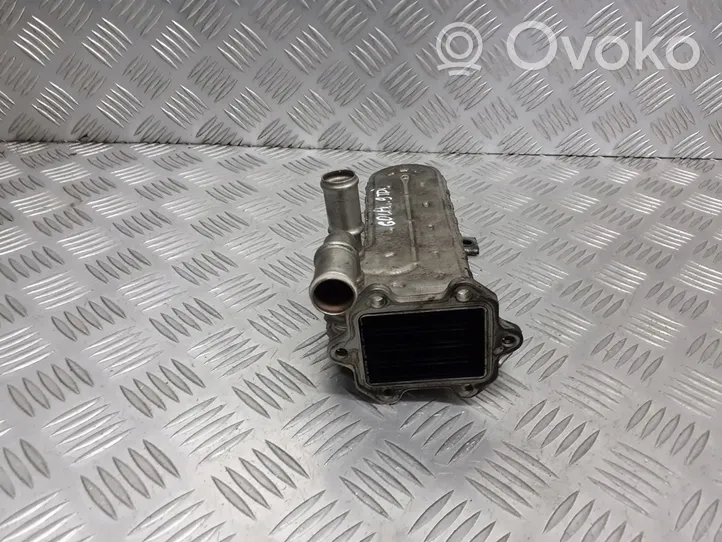 Volkswagen Golf V EGR-venttiili/lauhdutin 038131513AD