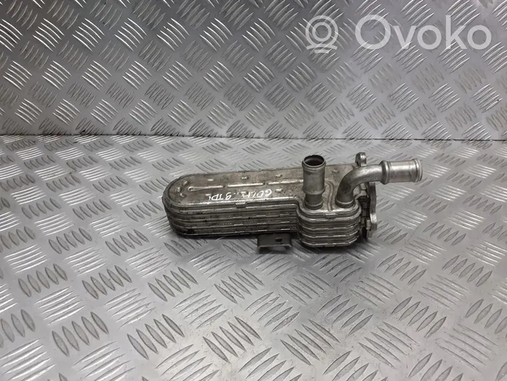 Volkswagen Golf V EGR-venttiili/lauhdutin 038131513AD