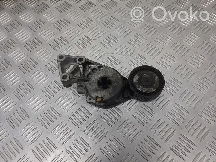 Volkswagen Polo III 6N 6N2 6NF Koło pasowe napinacza paska alternatora 06A903315E