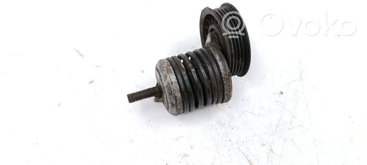 Volkswagen PASSAT B5 Napinacz paska alternatora 028903315M