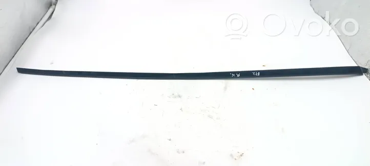 Audi A4 S4 B5 8D Windshield trim 