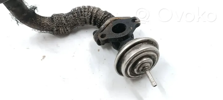 Volkswagen PASSAT B5.5 EGR valve 028131501E