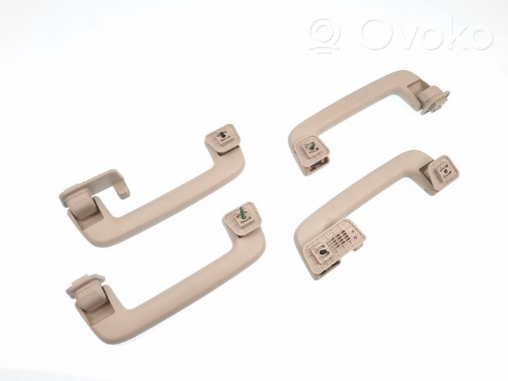 Ford Edge II Un set di maniglie per il soffitto DS73A045B14A