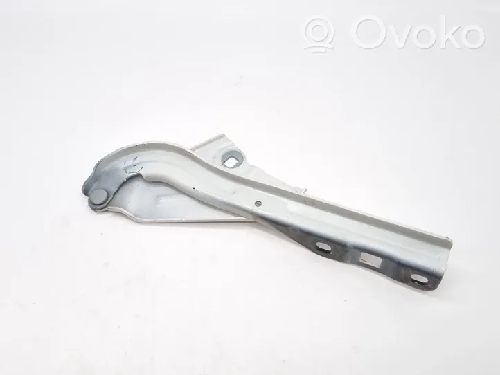 Chevrolet Volt II Cerniere del vano motore/cofano 8508124598