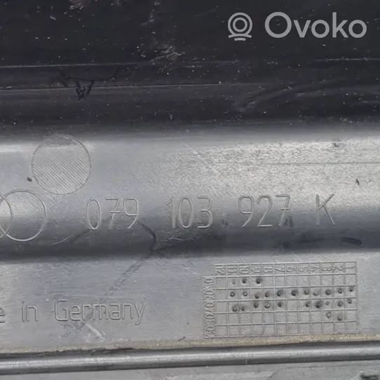 Audi Q7 4L Крышка двигателя (отделка) 079103927K