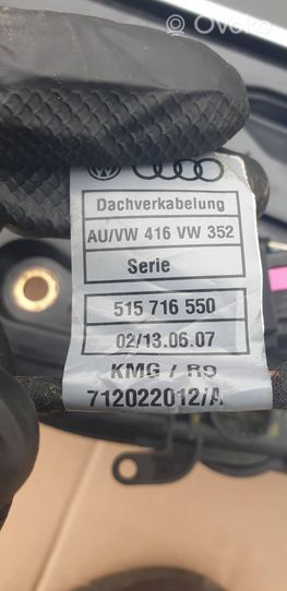 Audi Q5 SQ5 Juego de techo solar 515716550