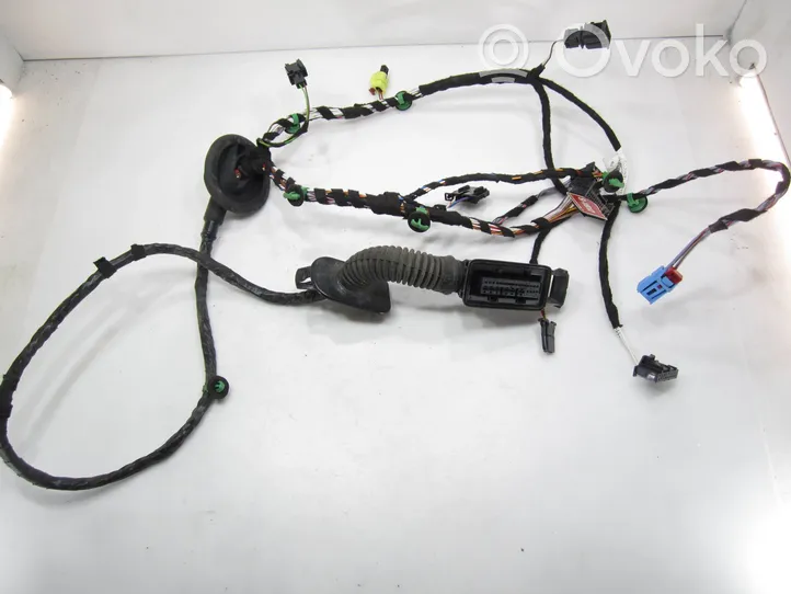 Volkswagen PASSAT B8 Front door wiring loom 3G1971121P